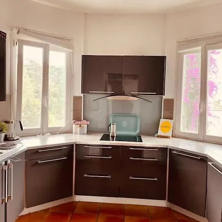 Maison Avec Jardin Tropical A 5 Minutes De La Croisette * Cannes