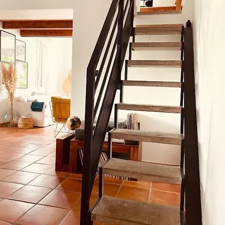 Maison Avec Jardin Tropical A 5 Minutes De La Croisette